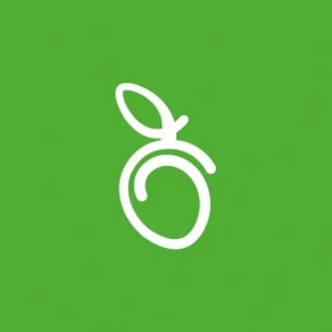 mango verde logo 1 1